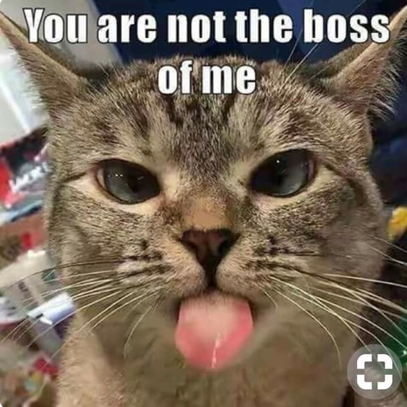 Meet your Posher, Cindy - Picture 1 of 1